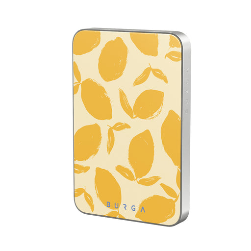 CP_02MS_MagPbank5K-SI