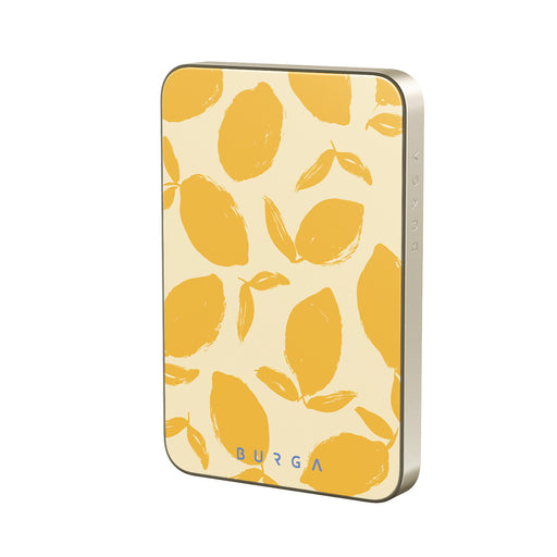 CP_02MS_MagPbank5K-GO