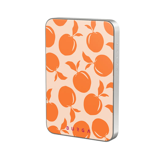 CP_16MS_MagPbank5K-SI