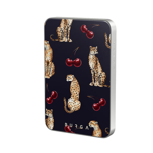 PA_01MS_MagPbank5K-SI