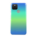 Horizon - Google Pixel 5 Case 1