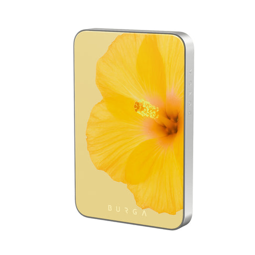 RS_20MS_MagPbank5K-SI