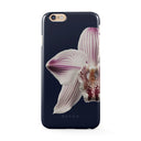 Nectar - iPhone 6 / 6S Case 1